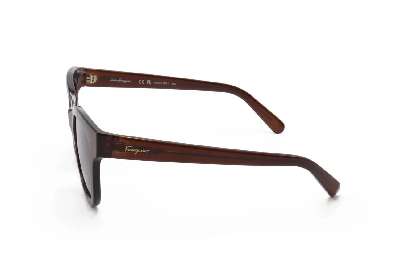 Ferragamo SF1066S Sunglasses - view 8